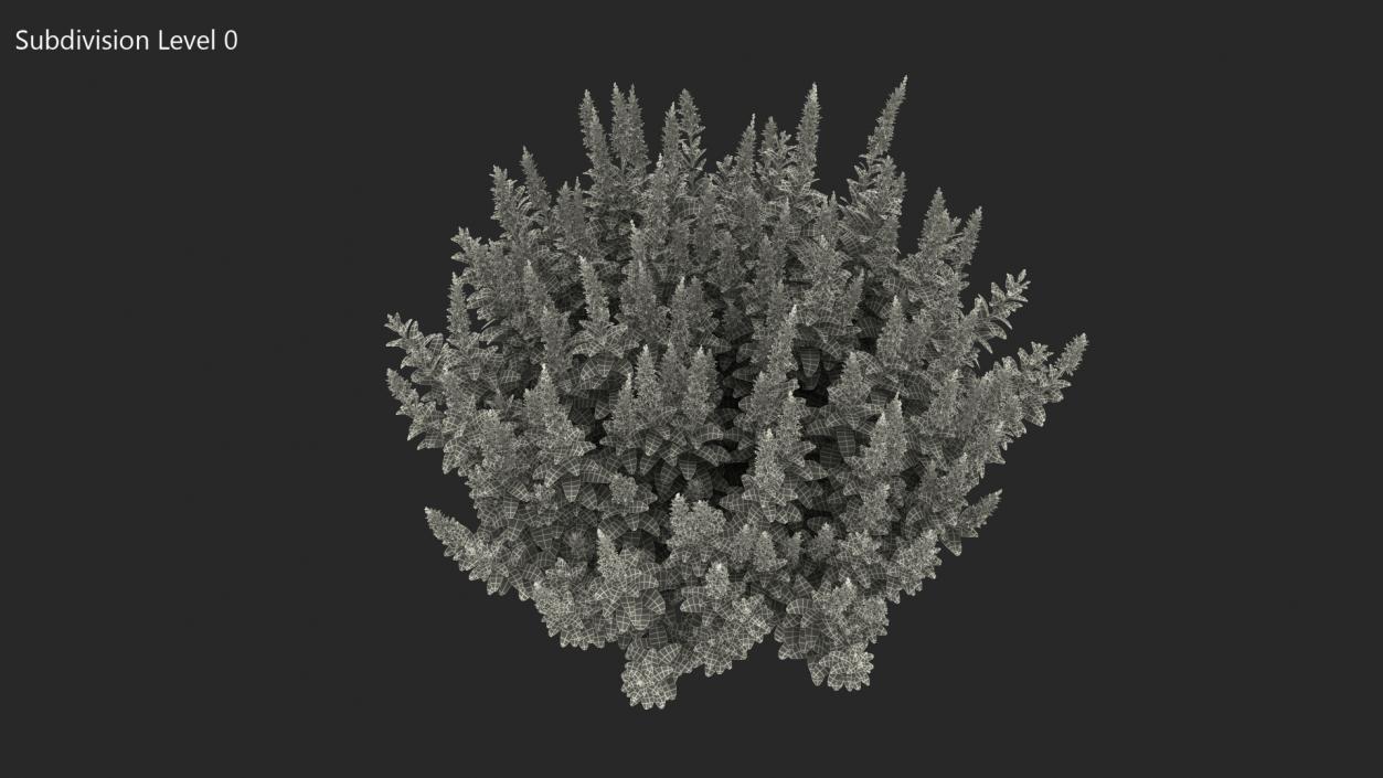 3D model Blooming Meadow Sage Snow Will