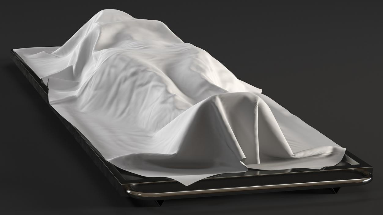 3D Dead Body Of Woman Covered with White Sheet model