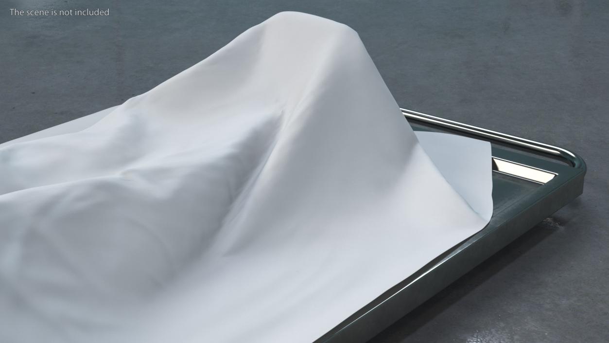 3D Dead Body Of Woman Covered with White Sheet model