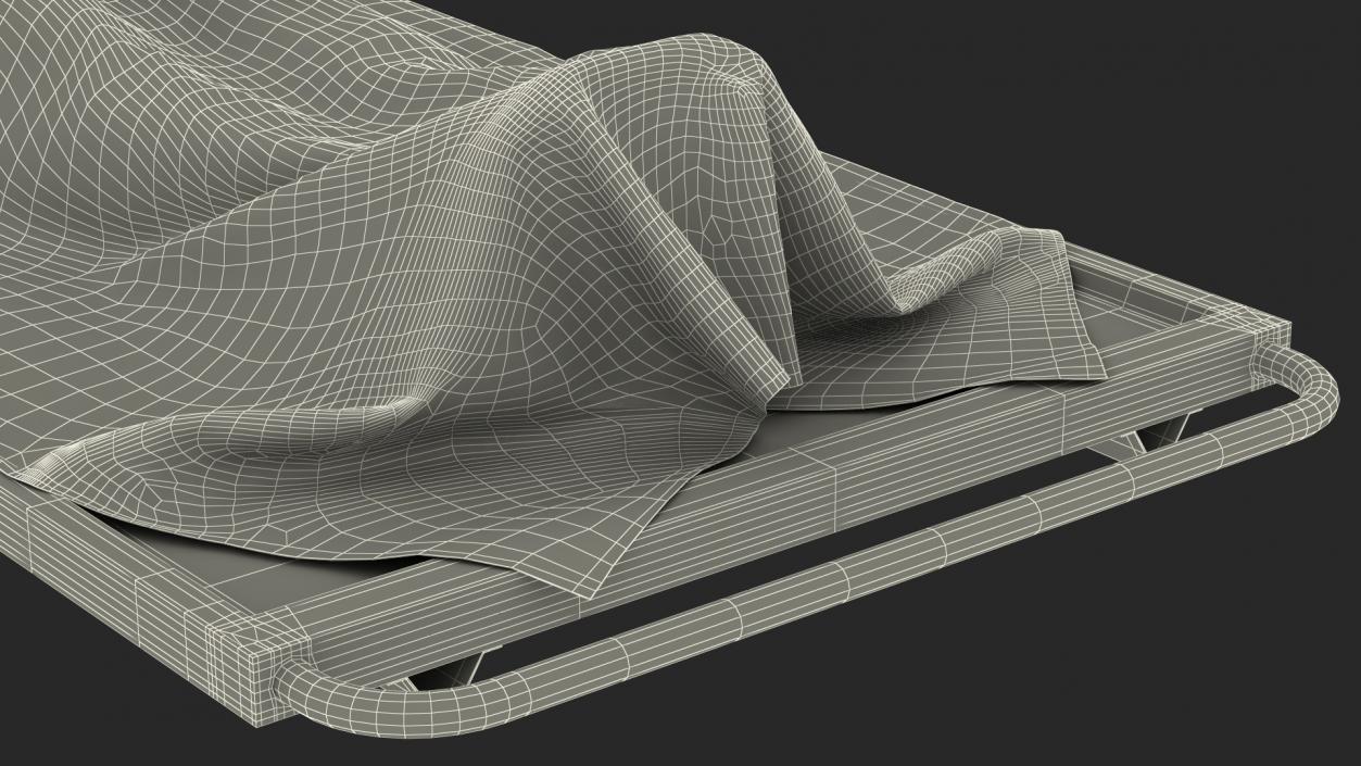 3D Dead Body Of Woman Covered with White Sheet model