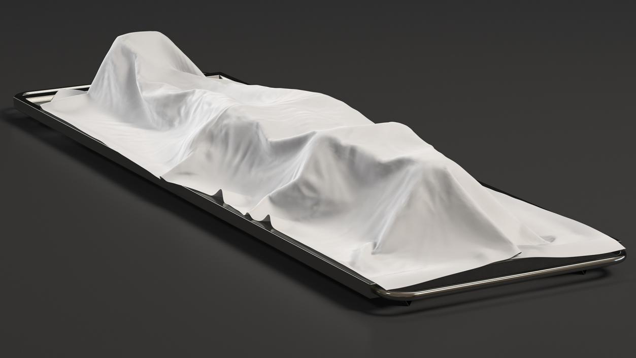 3D Dead Body Of Woman Covered with White Sheet model