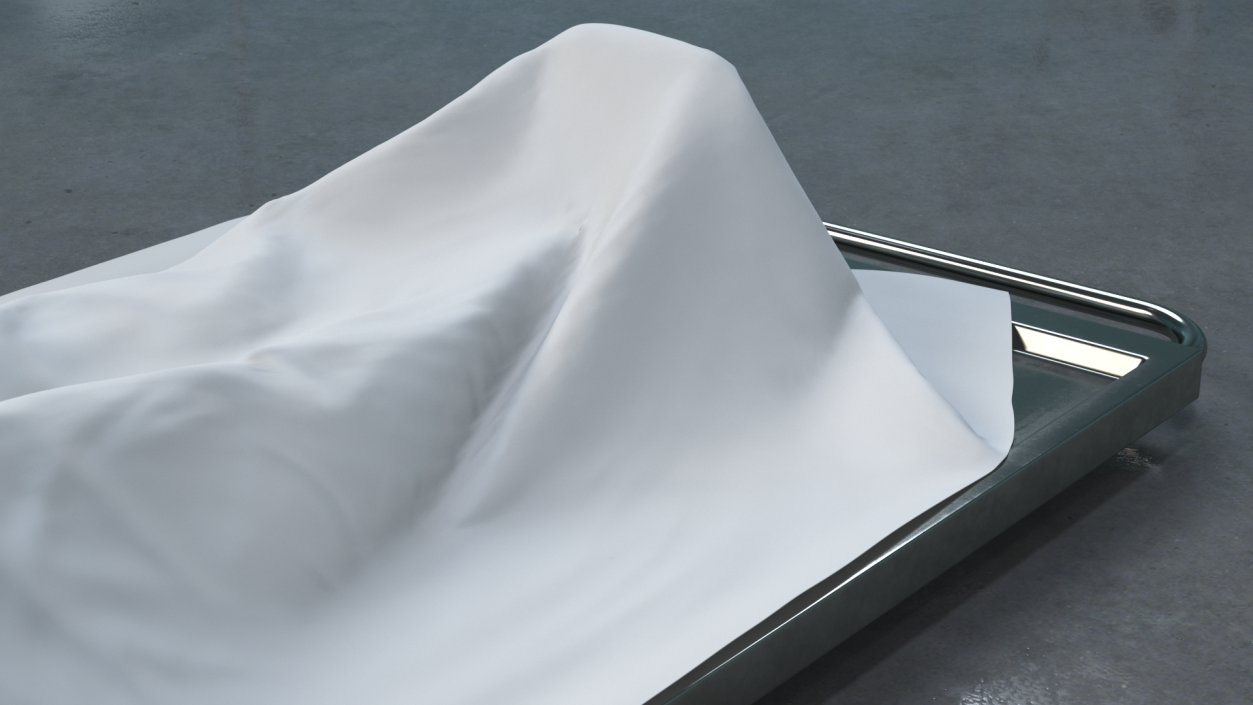 3D Dead Body Of Woman Covered with White Sheet model