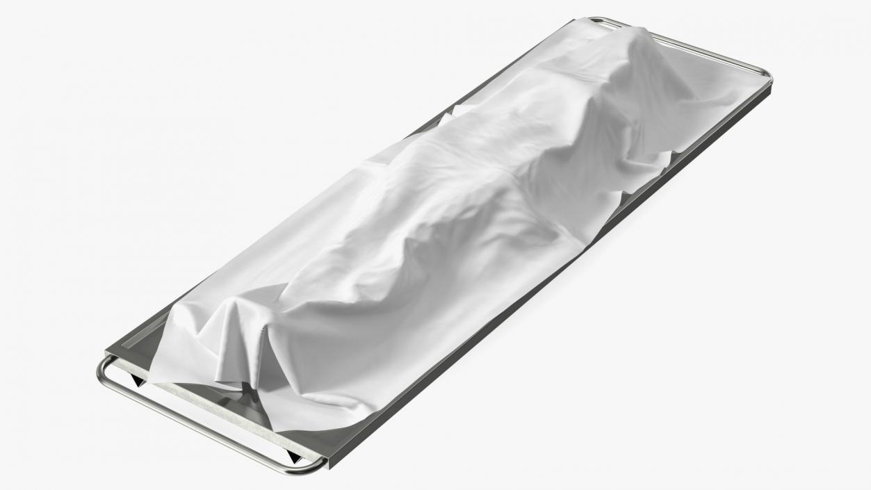 3D Dead Body Of Woman Covered with White Sheet model