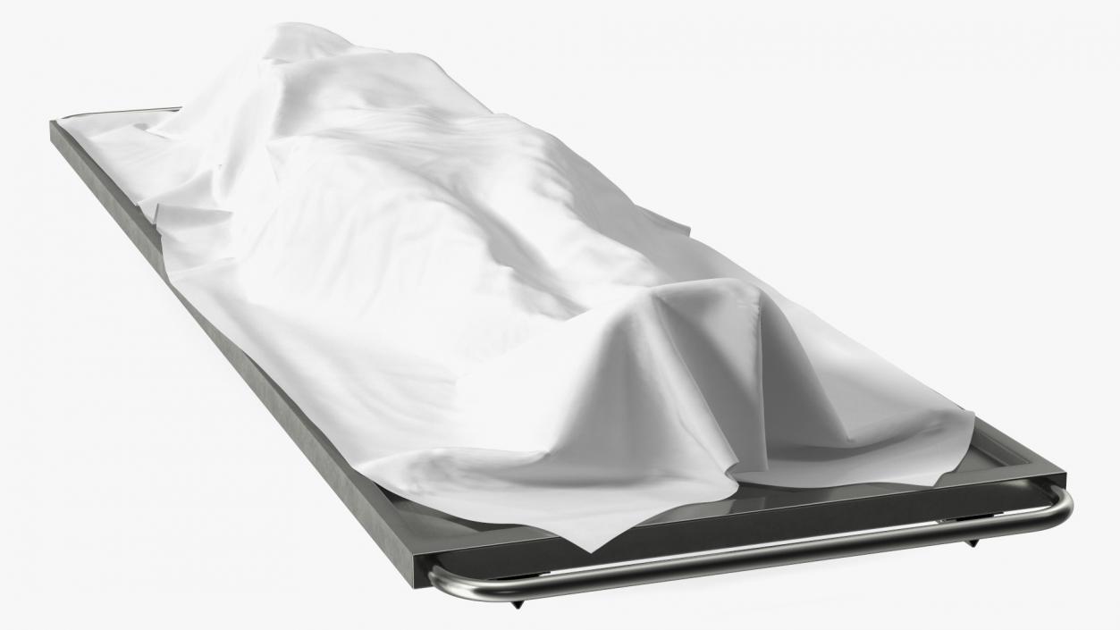 3D Dead Body Of Woman Covered with White Sheet model