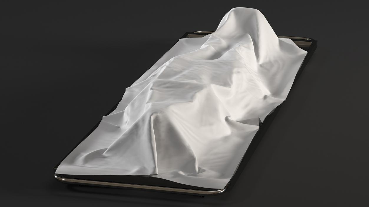 3D Dead Body Of Woman Covered with White Sheet model