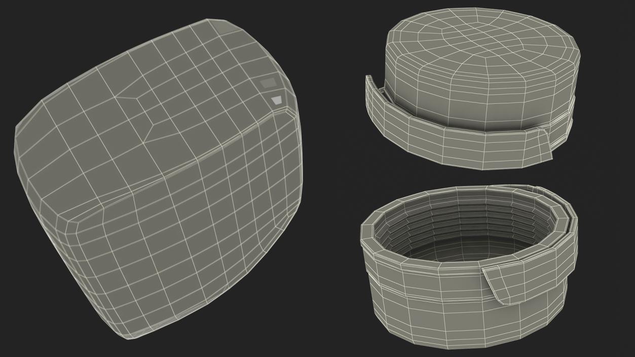 Waterline Antifreeze Prestone in Plastic Canister 3D model