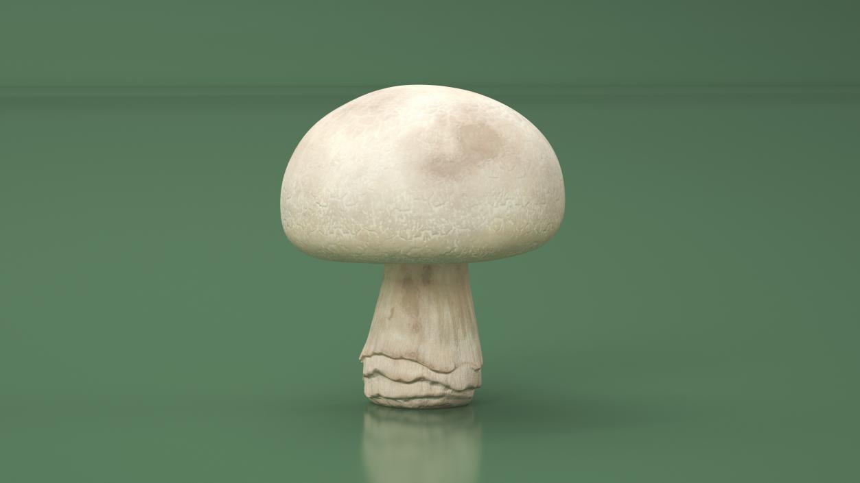 Champignon 2 3D