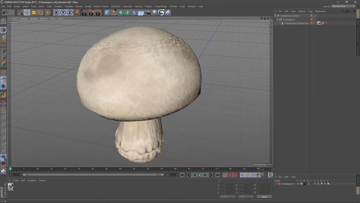 Champignon 2 3D