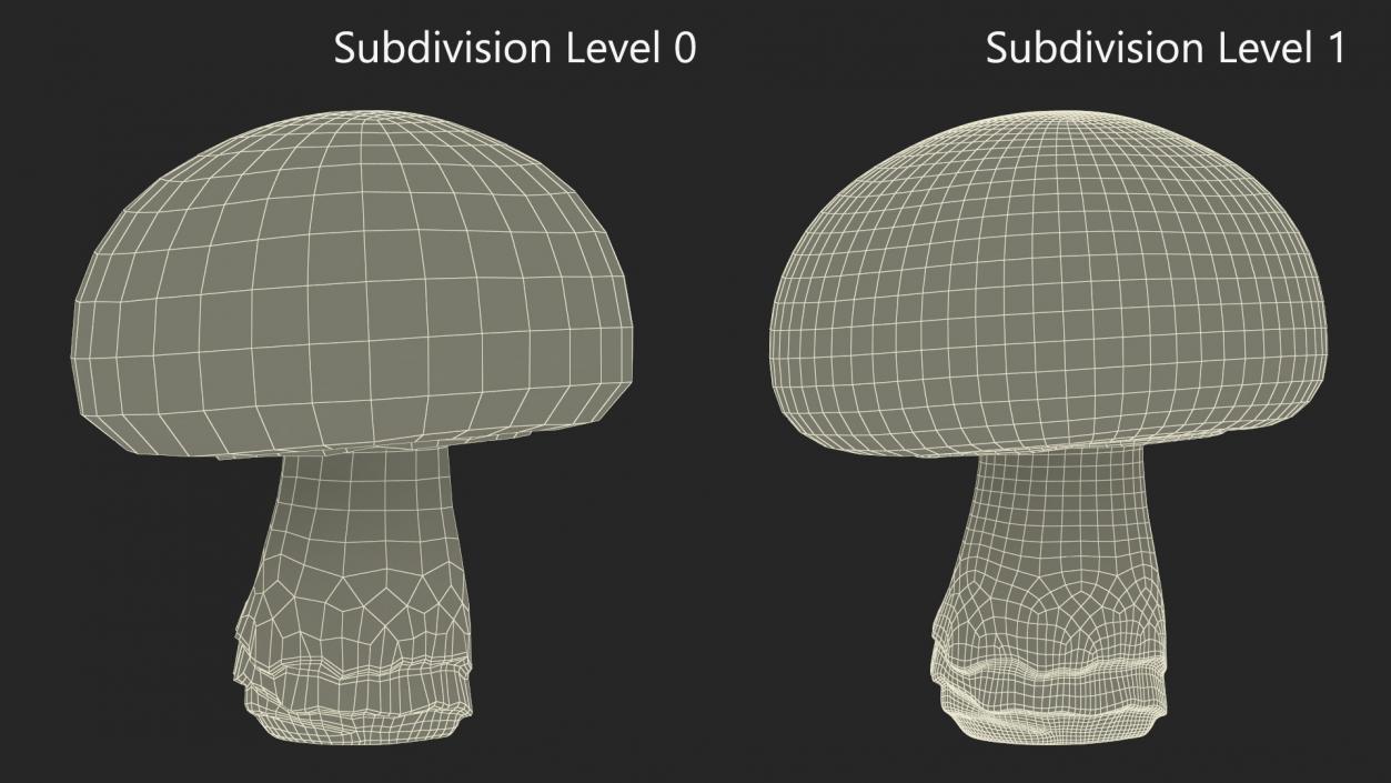 Champignon 2 3D