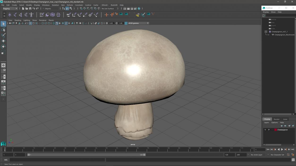 Champignon 2 3D