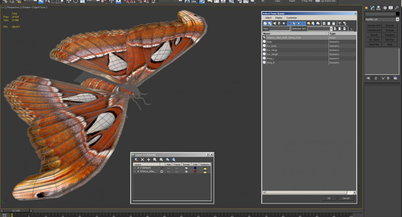 3D model Attacus Atlas Moth Sitting Pose with Fur