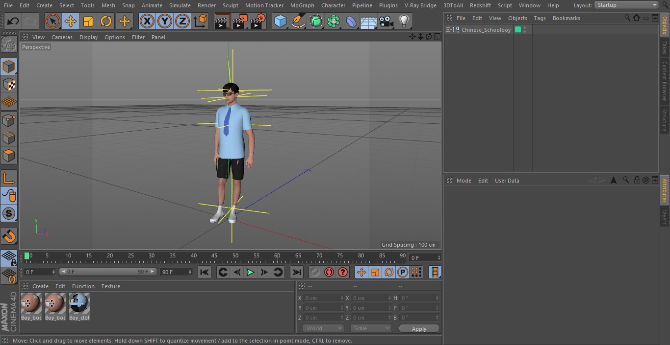 Chinese Schoolboy 3D