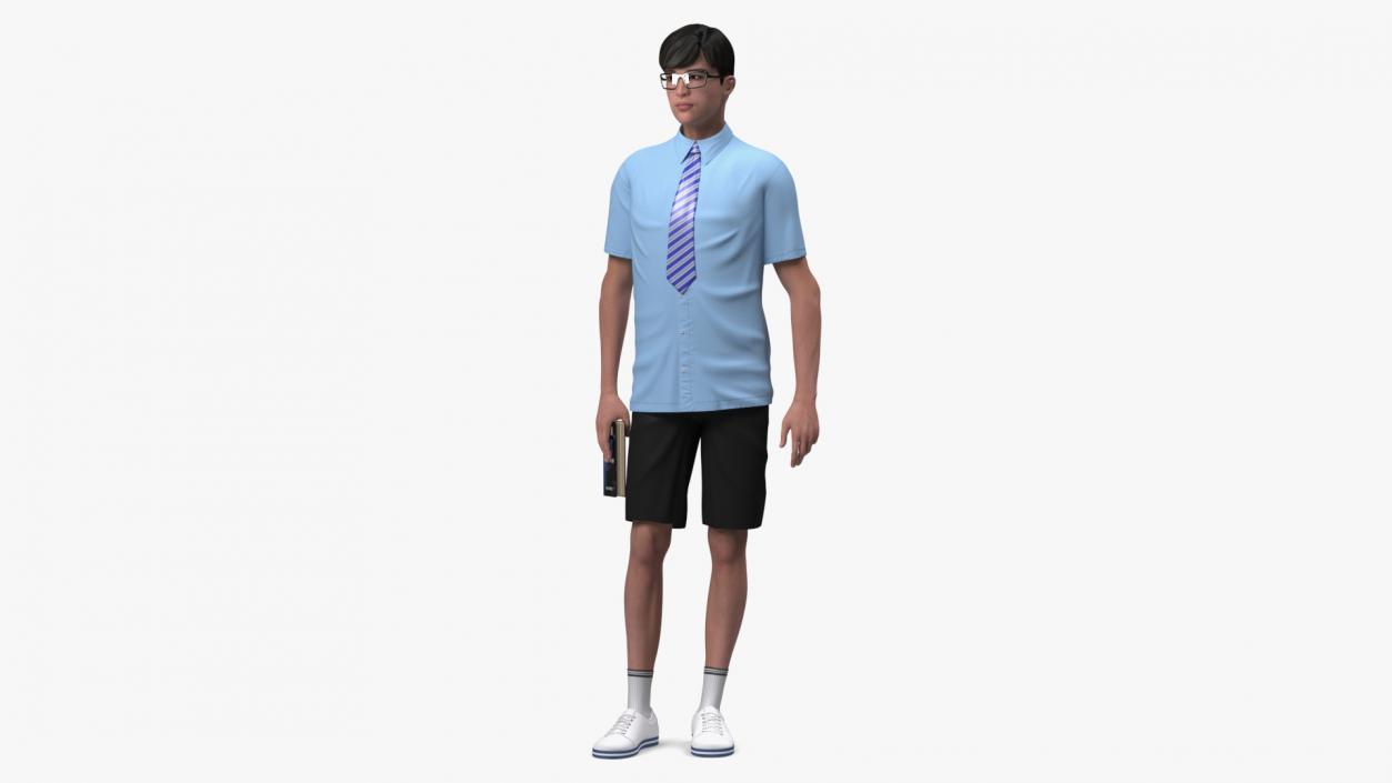 Chinese Schoolboy 3D