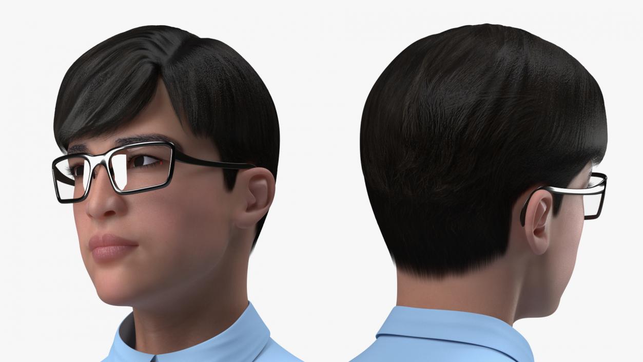 Chinese Schoolboy 3D