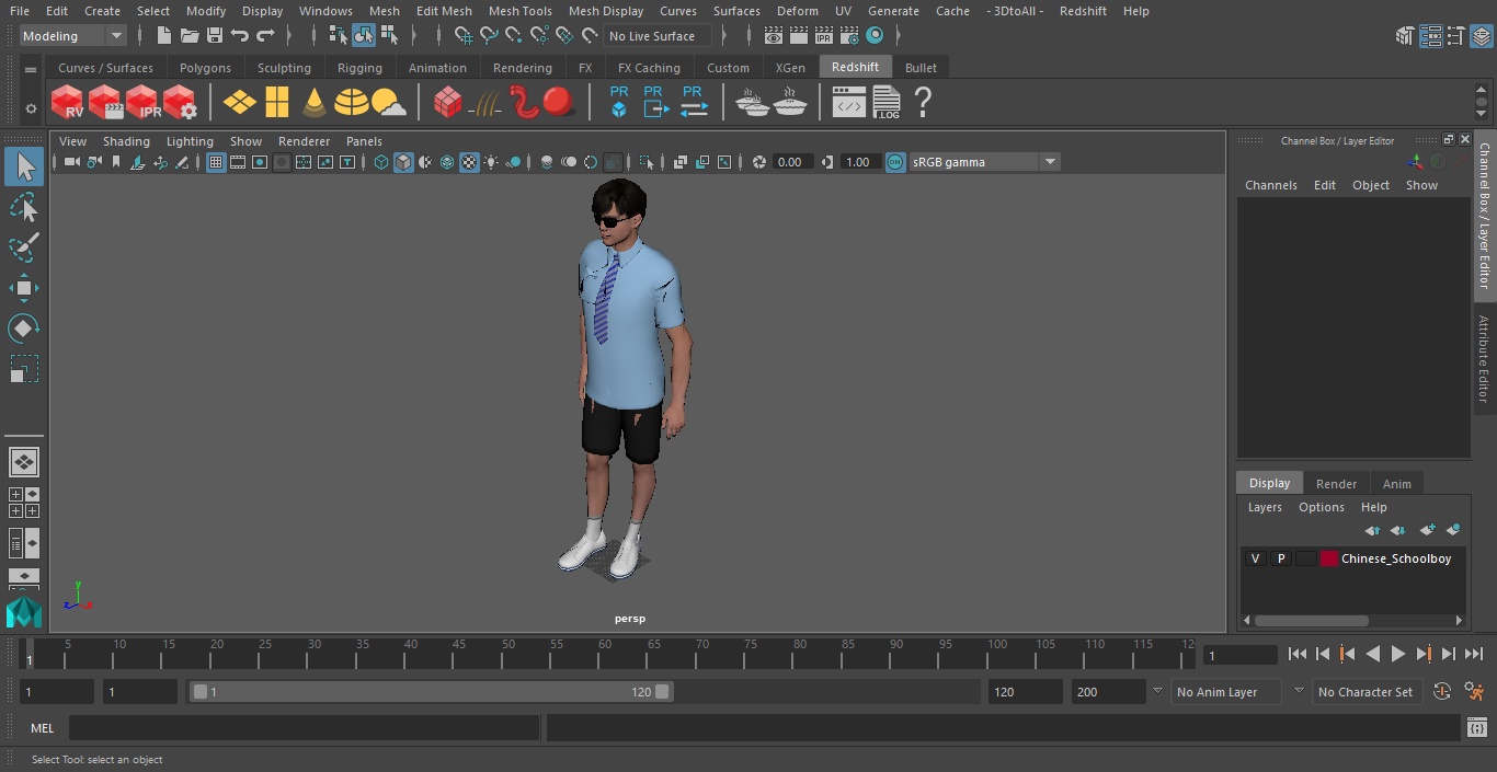 Chinese Schoolboy 3D