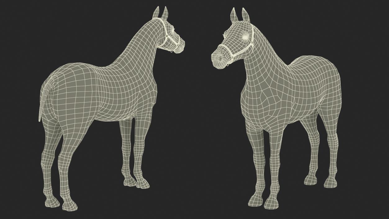 3D Friesian Horse Fur model