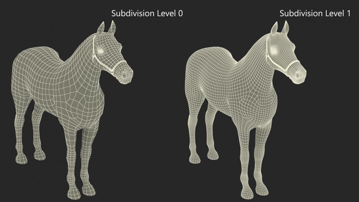 3D Friesian Horse Fur model