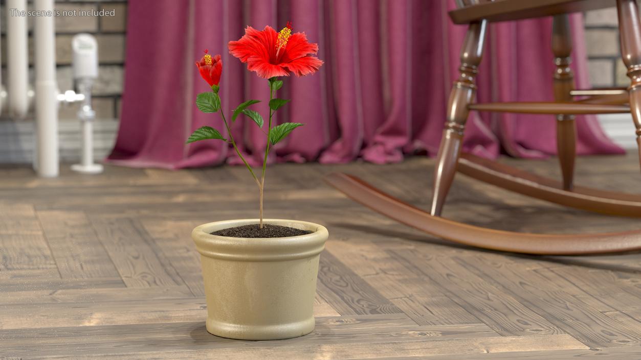 3D Hibiscus Branch with Flower Red