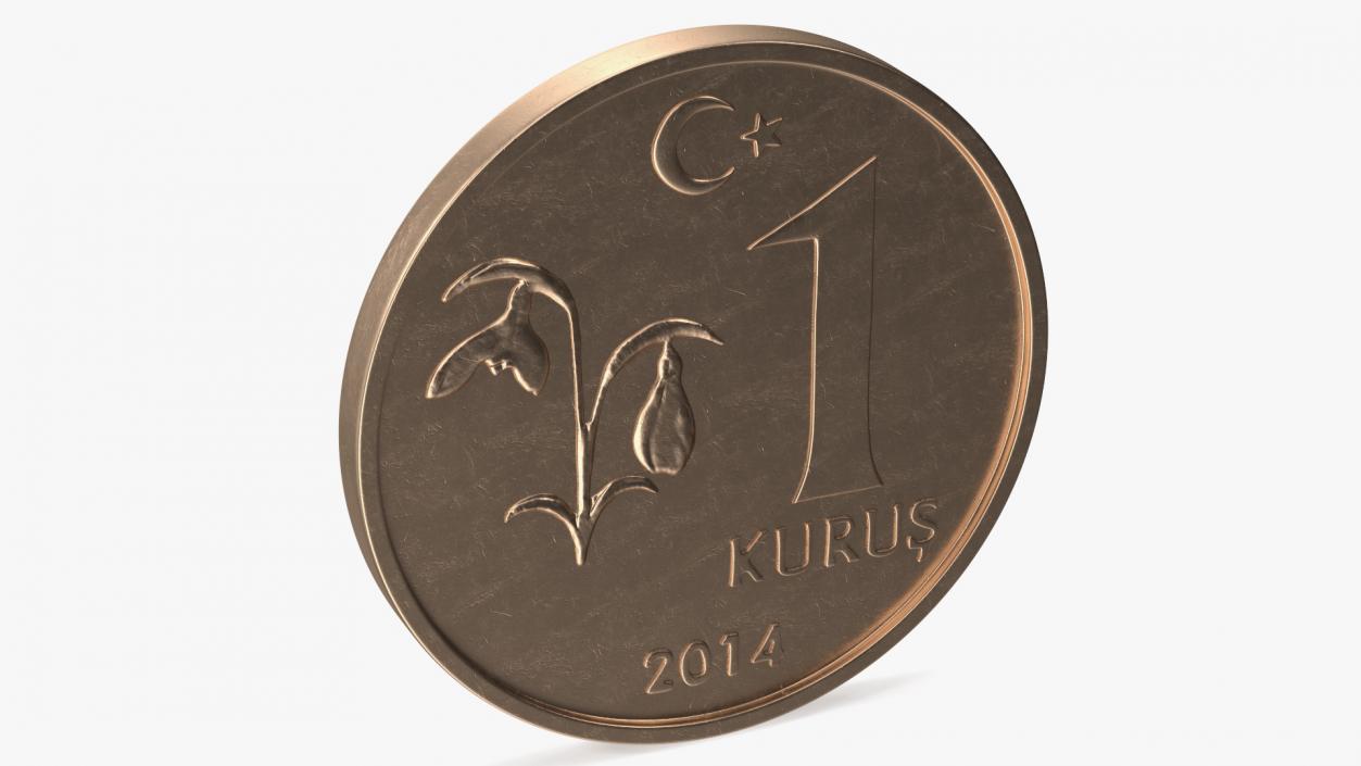 3D One Kurus Coin from Turkey