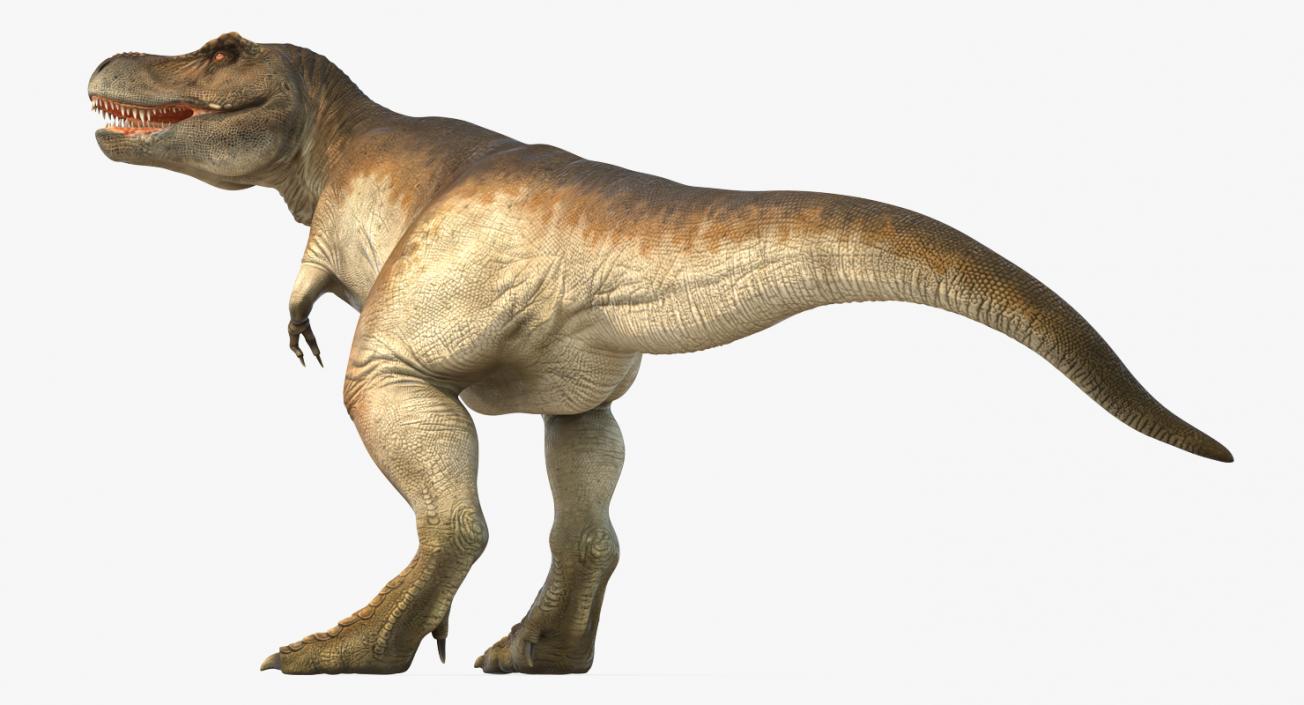 3D Tyrannosaurus Rex Standing