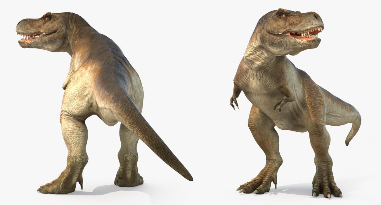 3D Tyrannosaurus Rex Standing