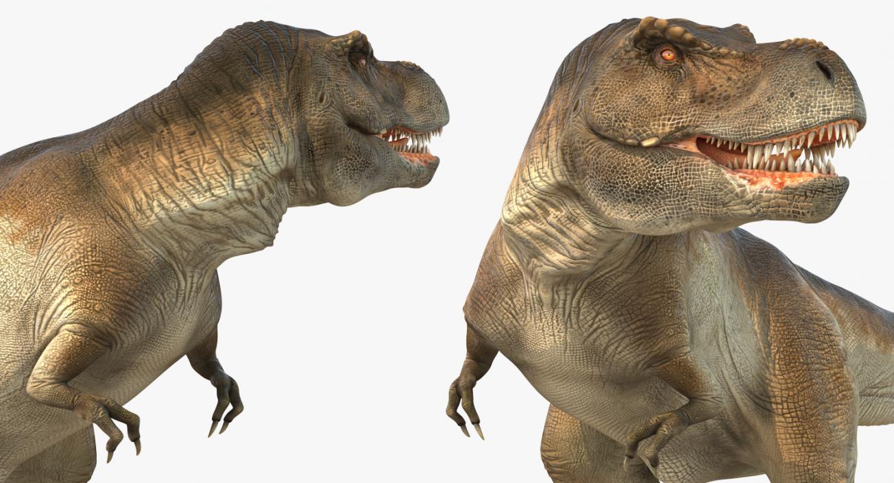 3D Tyrannosaurus Rex Standing