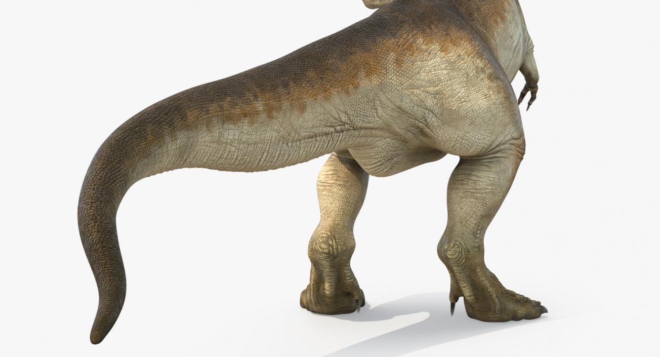 3D Tyrannosaurus Rex Standing