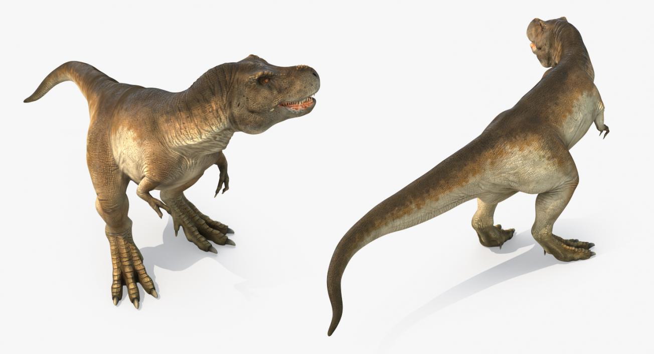 3D Tyrannosaurus Rex Standing