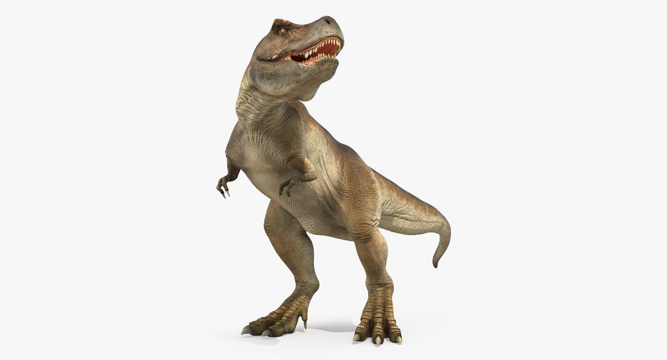 3D Tyrannosaurus Rex Standing