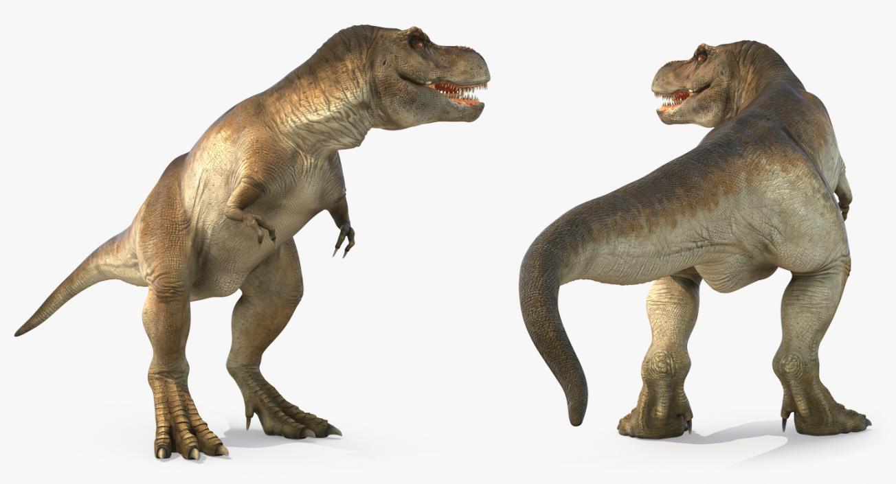 3D Tyrannosaurus Rex Standing