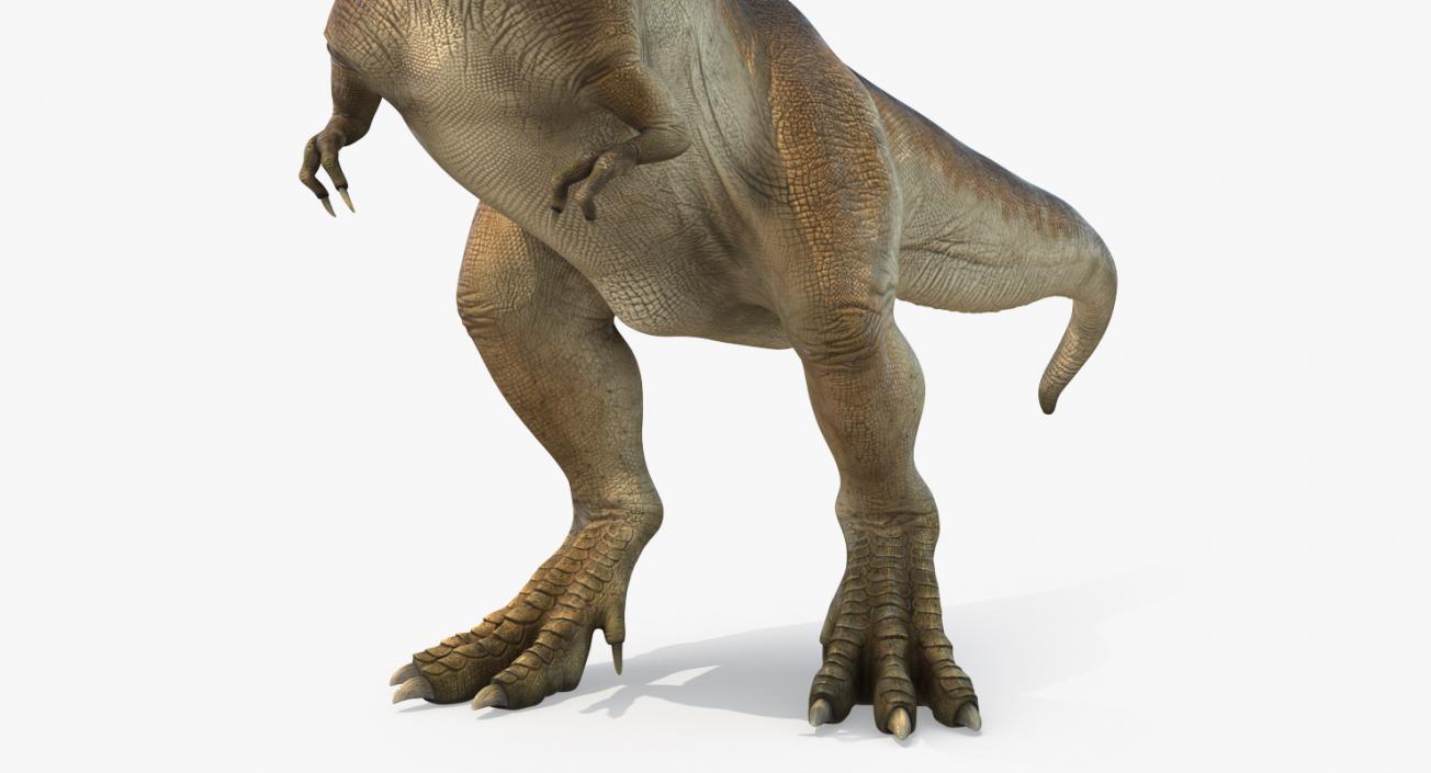 3D Tyrannosaurus Rex Standing