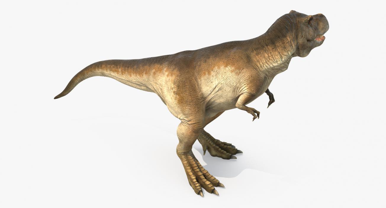 3D Tyrannosaurus Rex Standing