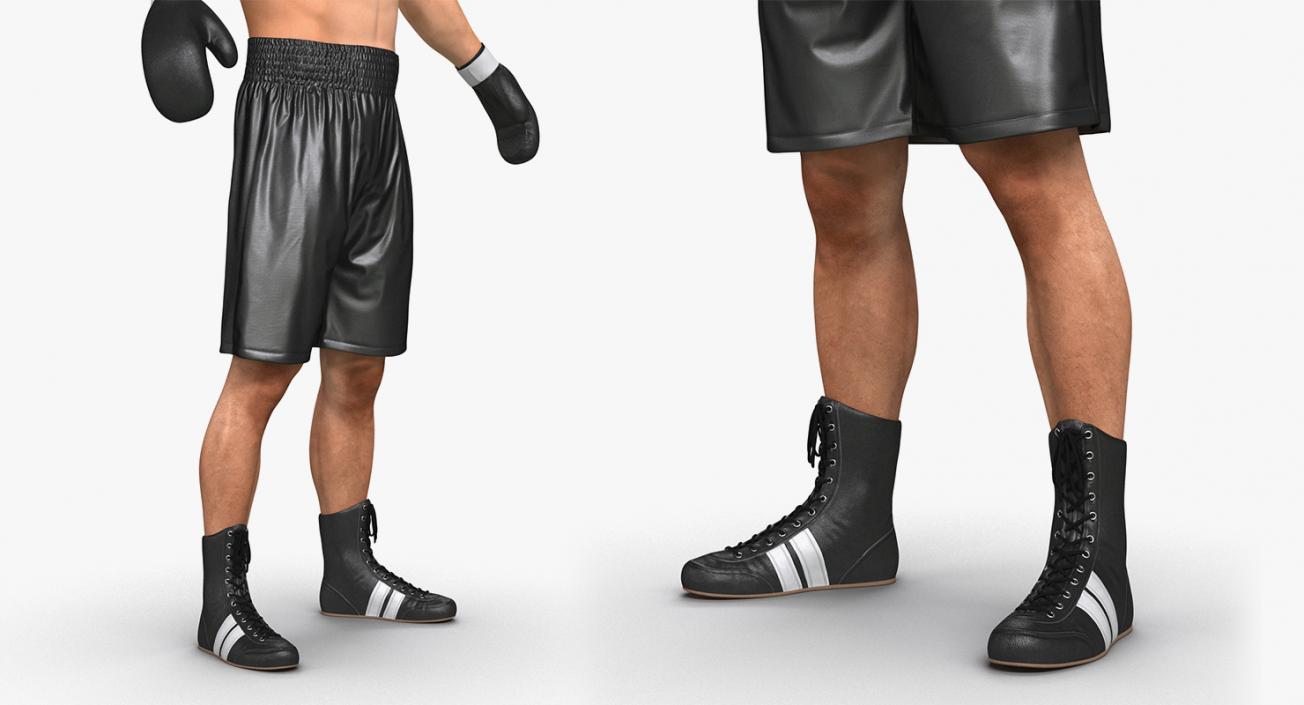 Boxers 3D Models Collection 3D