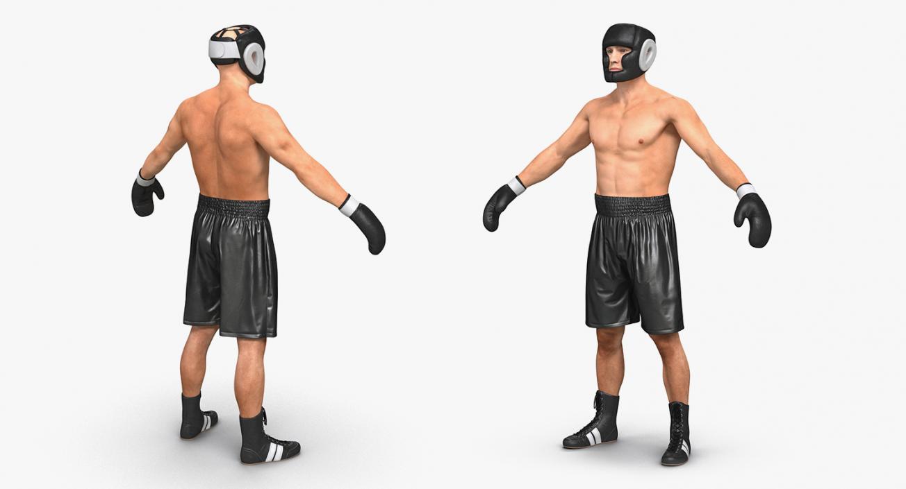 Boxers 3D Models Collection 3D