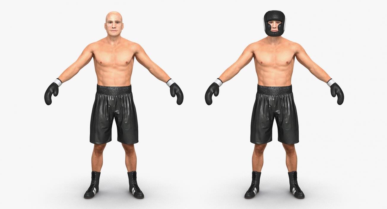 Boxers 3D Models Collection 3D