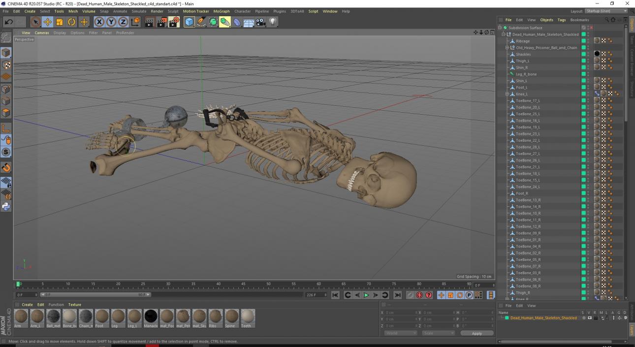 3D Dead Human Male Skeleton Shackled model
