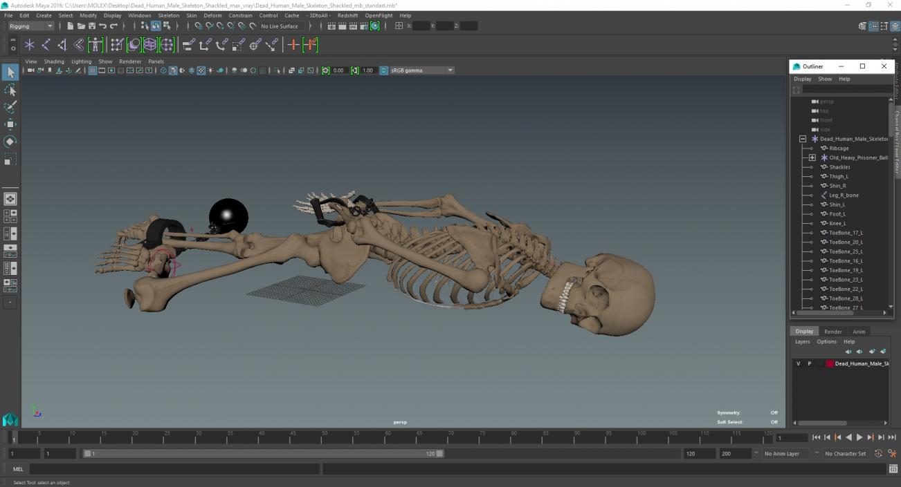 3D Dead Human Male Skeleton Shackled model