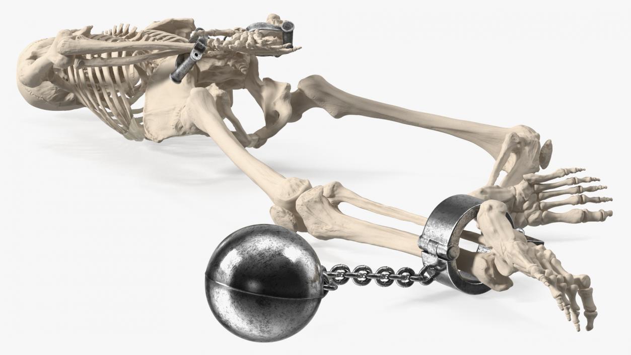 3D Dead Human Male Skeleton Shackled model