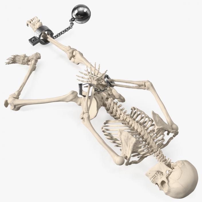 3D Dead Human Male Skeleton Shackled model