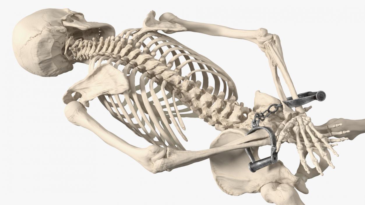 3D Dead Human Male Skeleton Shackled model