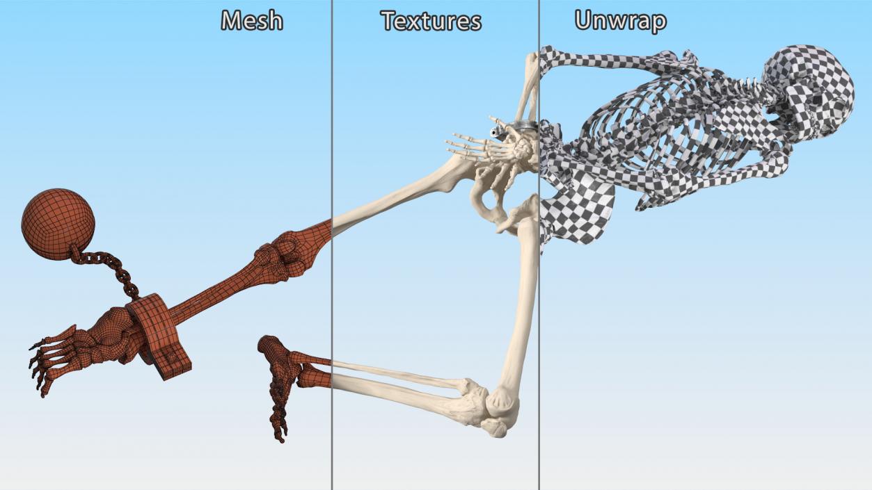 3D Dead Human Male Skeleton Shackled model