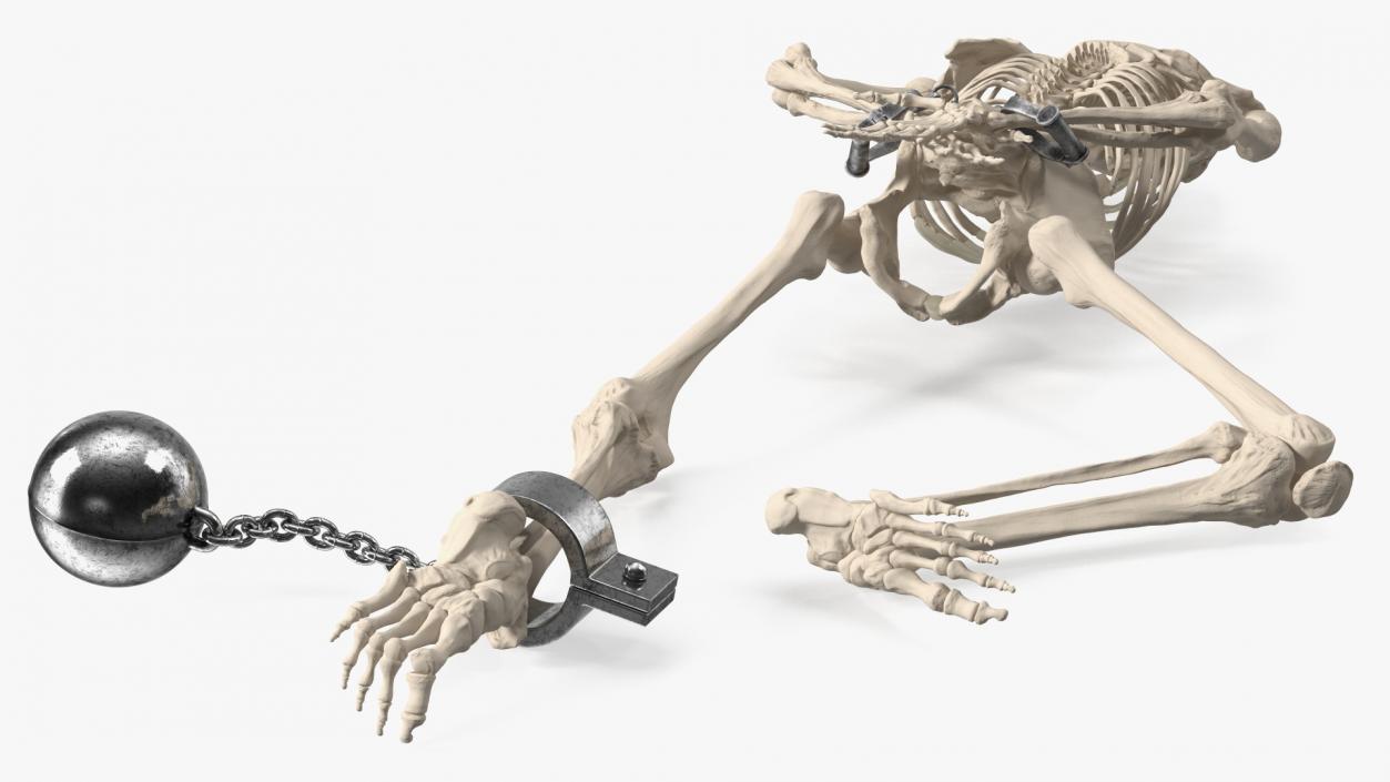 3D Dead Human Male Skeleton Shackled model