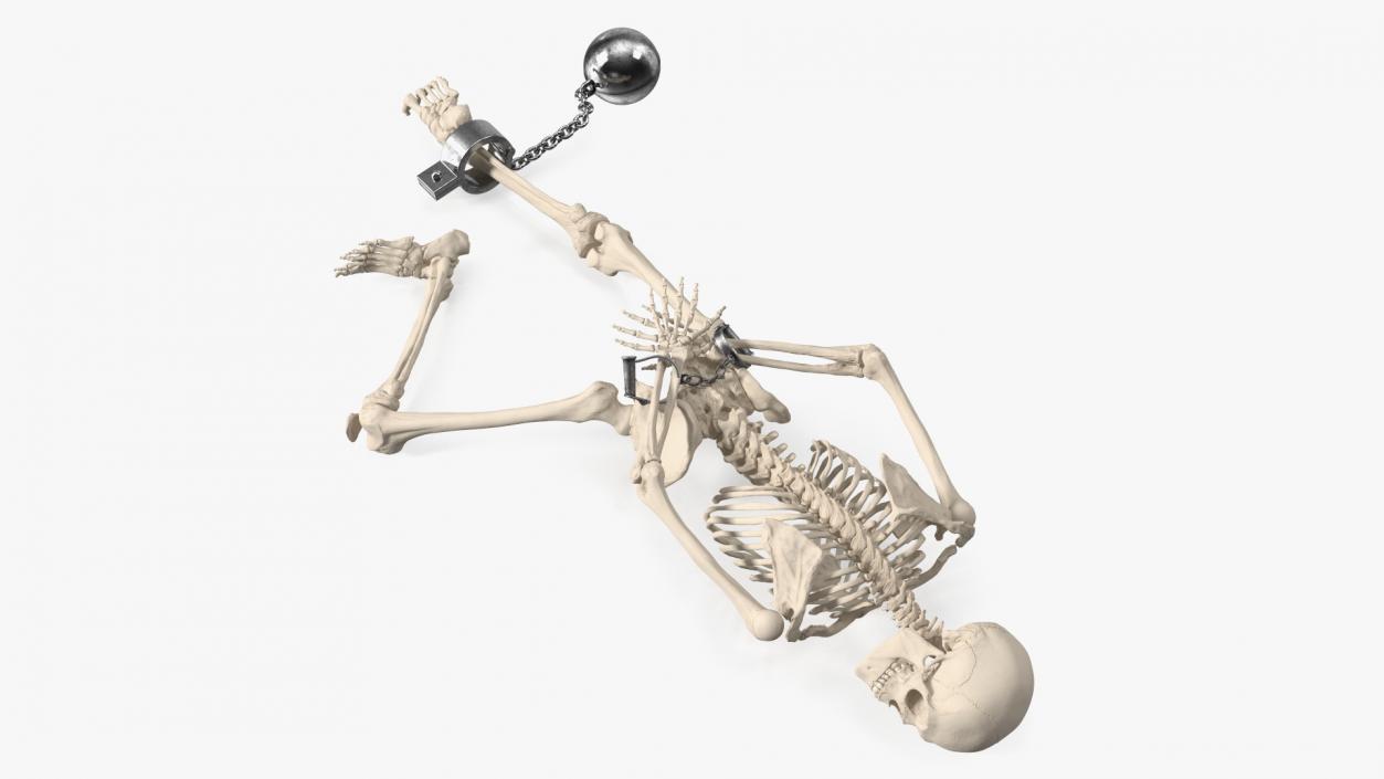 3D Dead Human Male Skeleton Shackled model