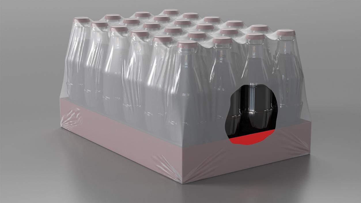 3D model 24 Soda Glass Bottle Case