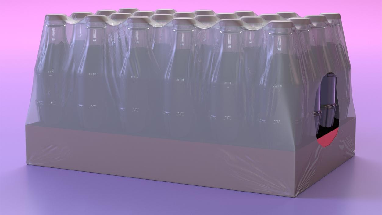 3D model 24 Soda Glass Bottle Case