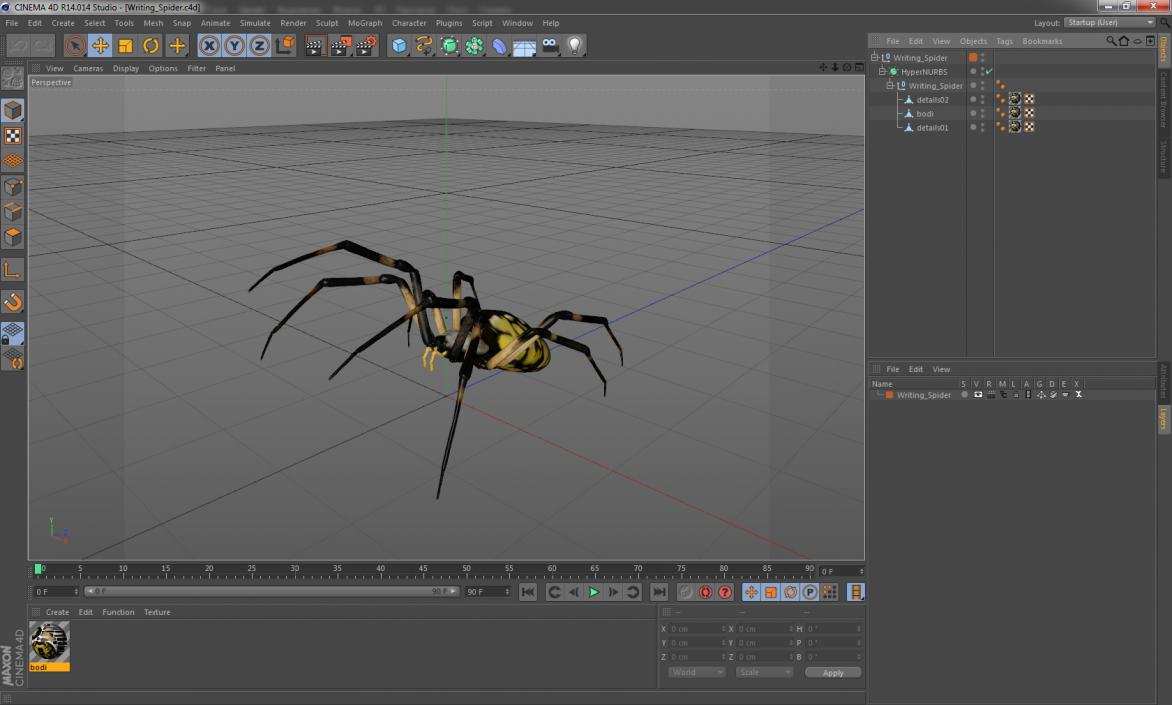 Writing Spider 3D model