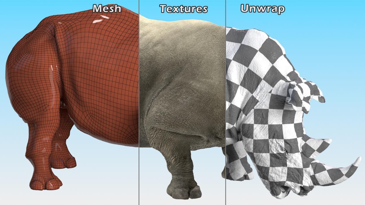 3D Drinking Rhinos Collection