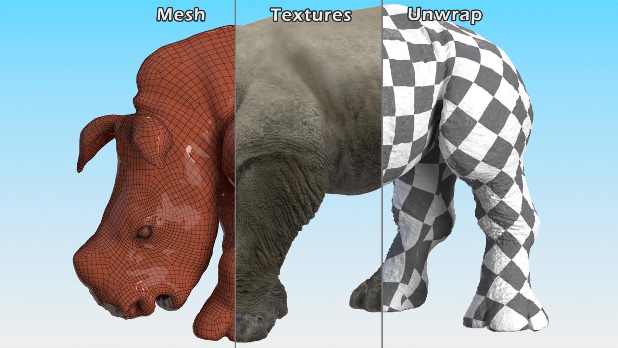 3D Drinking Rhinos Collection