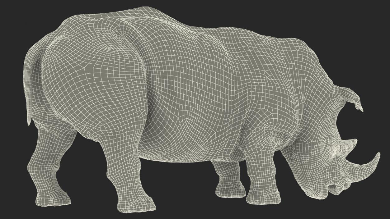 3D Drinking Rhinos Collection