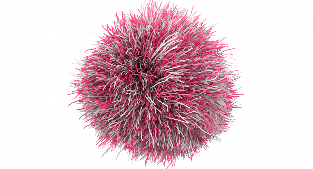 Dust Wiper Pink Fur 3D model